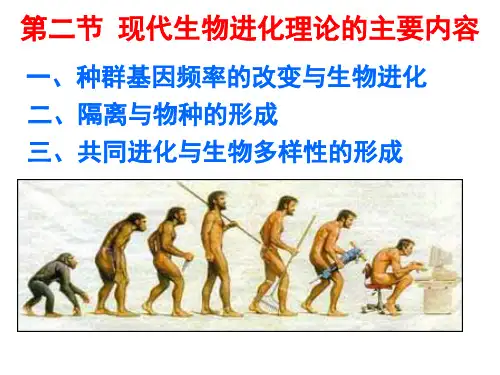 72现代生物进化理论的主要内容PPT课件