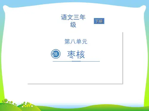 人教部编版三年级下册语文课件-28 枣核 (共19张PPT).ppt