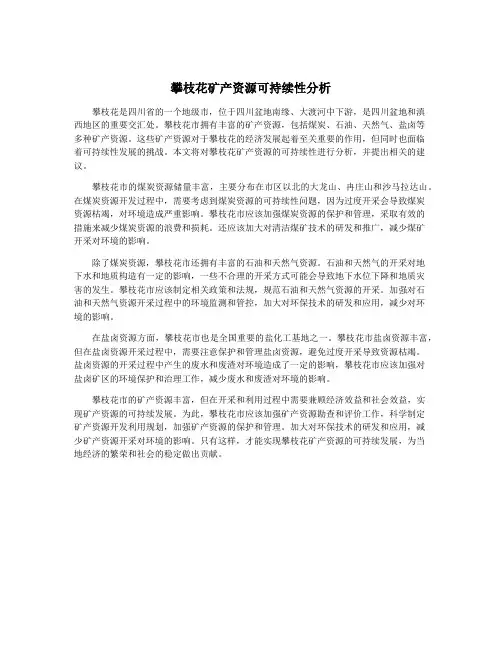 攀枝花矿产资源可持续性分析