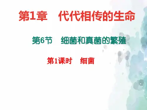 浙教版-科学-七年级下册-课件：1.6.1 细菌(共17张PPT)