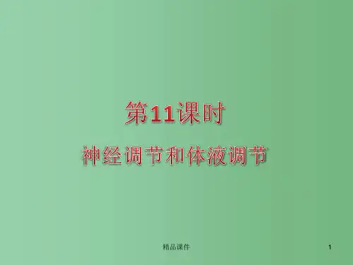 高考生物二轮总复习 第11课时 神经调节和体液调节精品