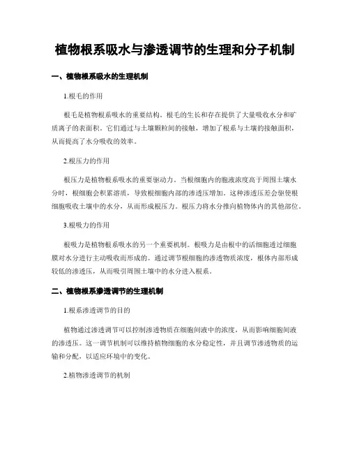 植物根系吸水与渗透调节的生理和分子机制