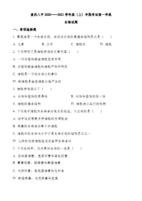 高一上学期生物期中测试卷 (40)