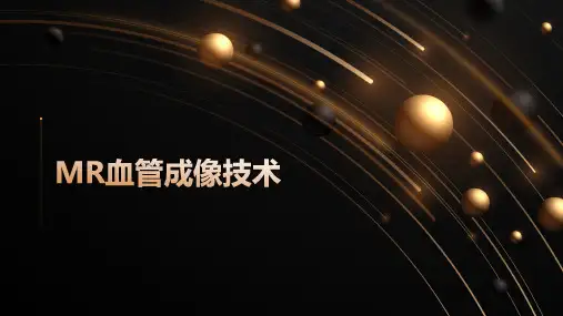MR血管成像技术