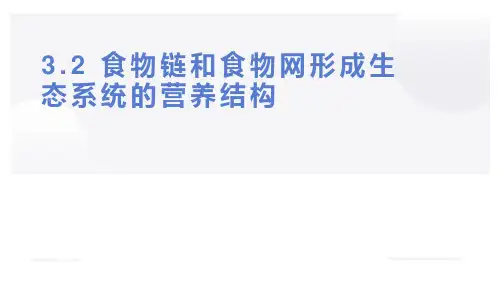 浙科版(2019)选择必修二  3-2 食物链和食物网形成生态系统的营养结构 课件(28张)