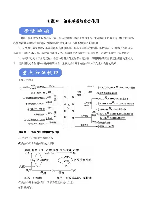 2020年高考生物二轮复习精品考点学与练 专题04 细胞呼吸与光合作用(解析版)