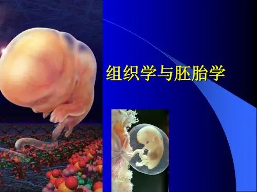 第一章 组织学绪论