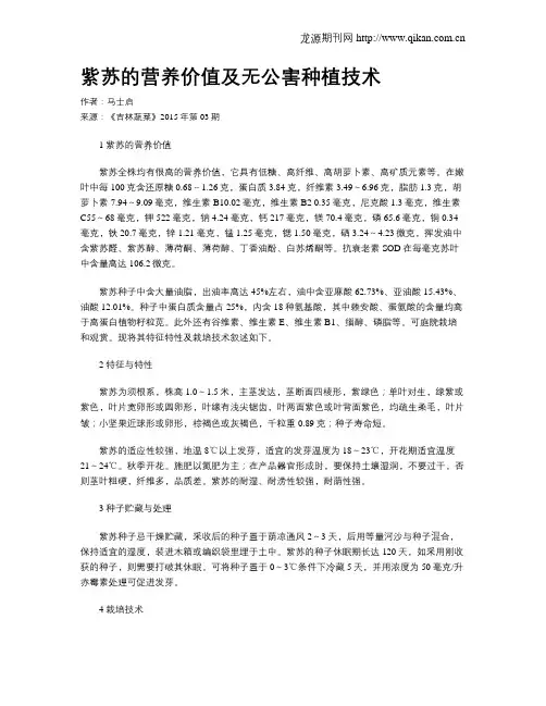 紫苏的营养价值及无公害种植技术