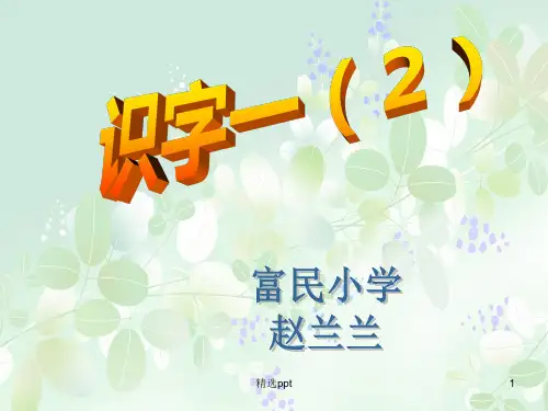 木字旁字的写法PPT课件