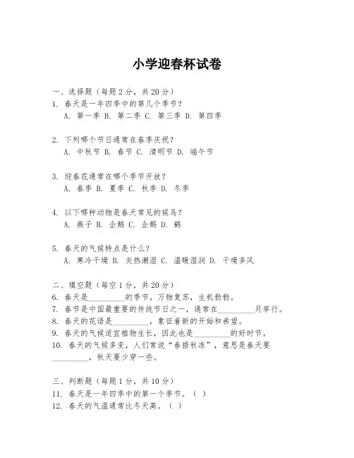 小学迎春杯试卷