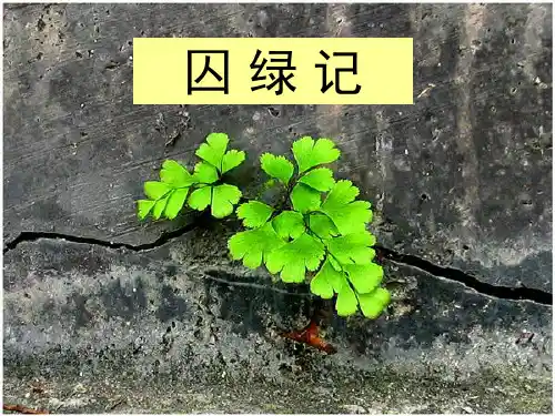 《囚绿记》优秀课件——课件PPT