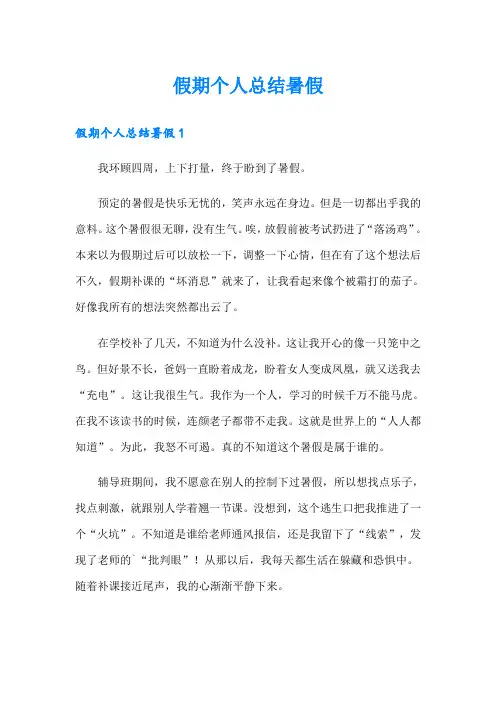 假期个人总结暑假