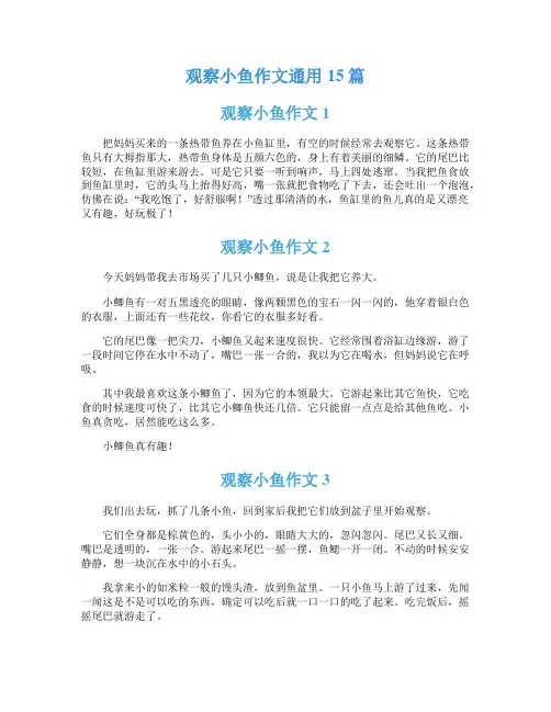 观察小鱼作文通用15篇