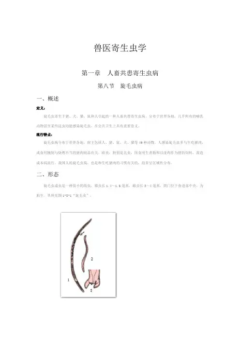 兽医寄生虫学--第一章人畜共患--第八节  旋毛虫病