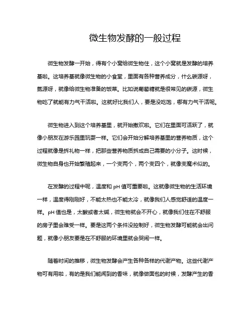 微生物发酵的一般过程