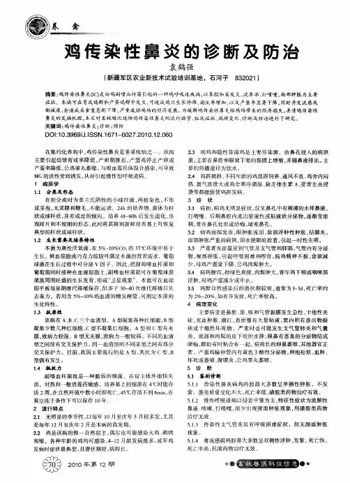鸡传染性鼻炎的诊断及防治