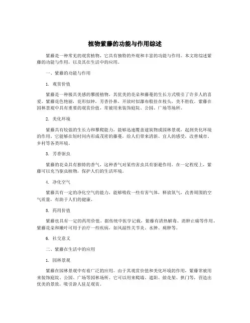 植物紫藤的功能与作用综述