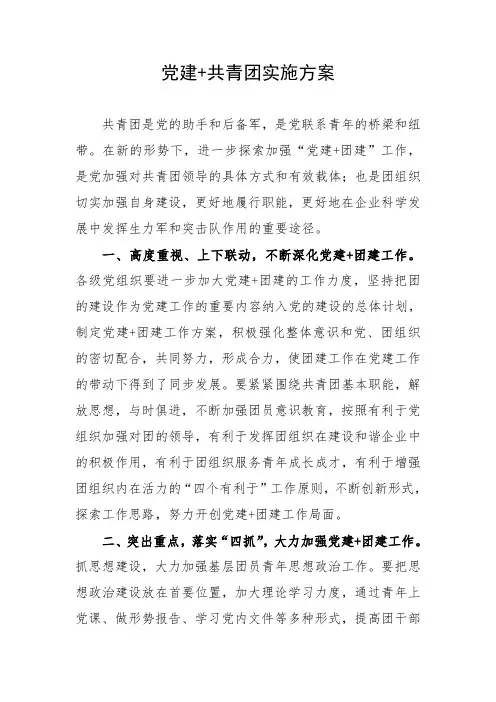 党建+共青团实施方案