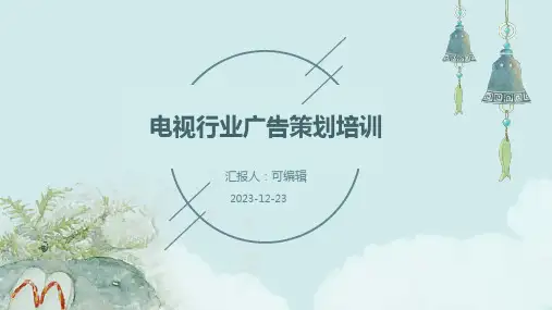 电视行业广告策划培训ppt