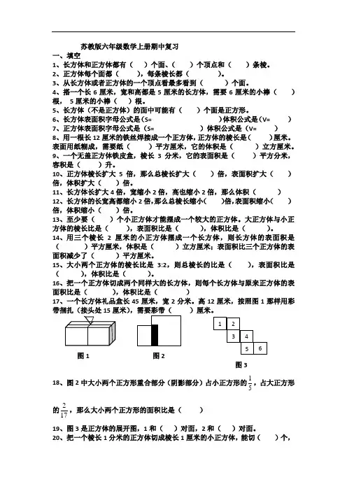 苏教版六年级数学上册期中复习