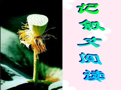 记叙文阅读PPT教学课件