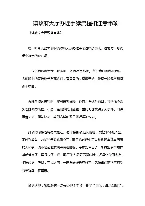 镇政府大厅办理手续流程和注意事项