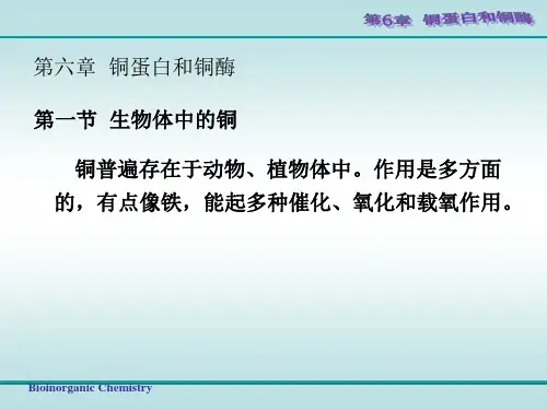 6.  铜蛋白和铜酶