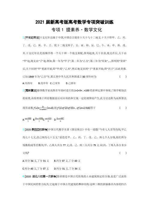 2021届新高考版高考数学专项突破训练(4个专项)