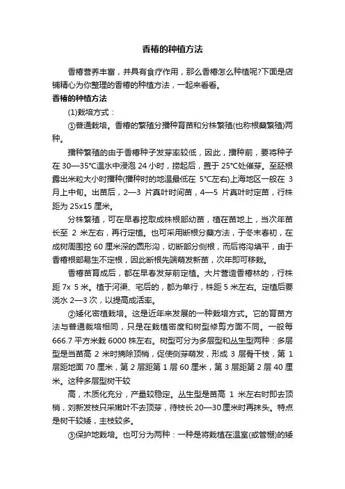 香椿的种植方法