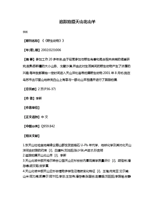 追踪拍摄天山北山羊