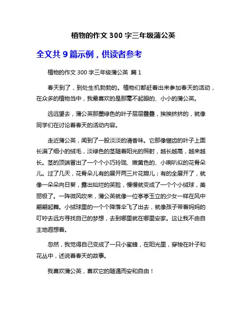 植物的作文300字三年级蒲公英