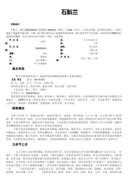 石斛兰