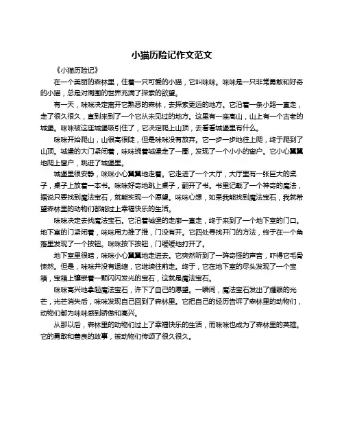 小猫历险记作文范文