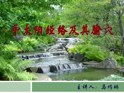 手太阳小肠经