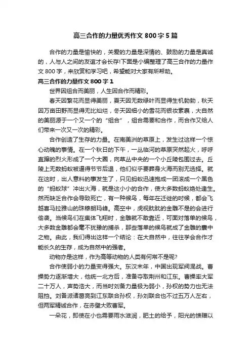 高三合作的力量优秀作文800字5篇