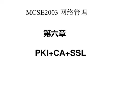 PKICASSL精品PPT课件