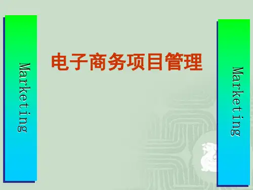 2020年电子商务项目管理项目评估讲义参照模板