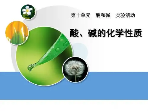 人教版 酸、碱的化学性质 PPT教学课件1