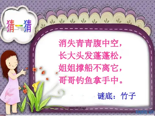 我喜欢的植物ppt课件
