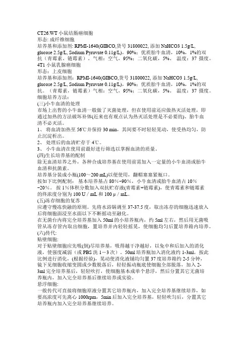 4T1、CT26.WT细胞培养