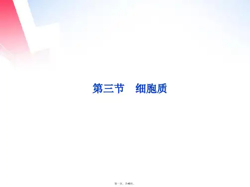 高中生物 第二章第三节细胞质课件 浙科版必修1