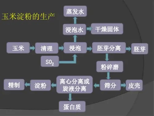 玉米淀粉