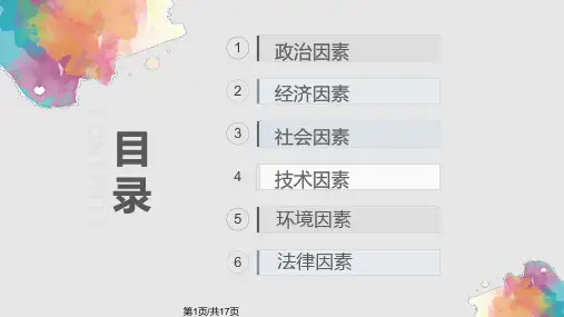 滴滴公司pest分析PPT课件