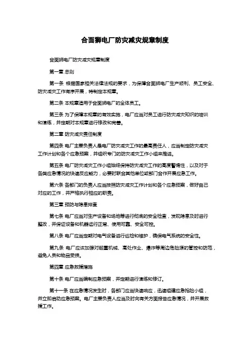 合面狮电厂防灾减灾规章制度