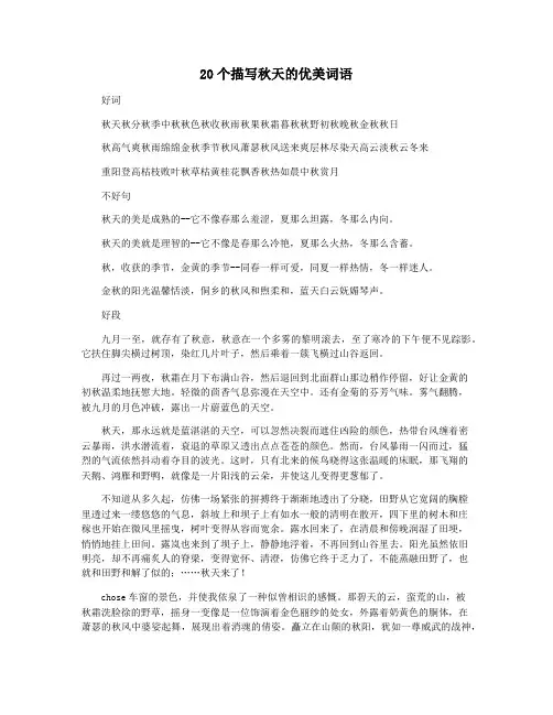 20个描写秋天的优美词语