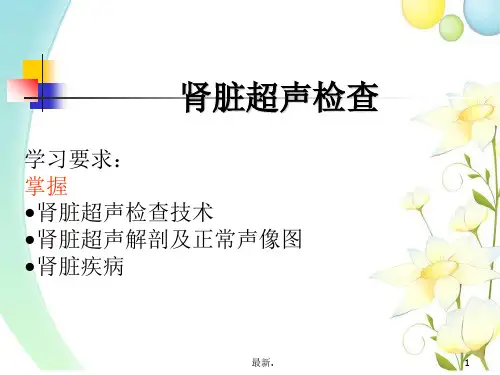 完整版肾脏超声检查