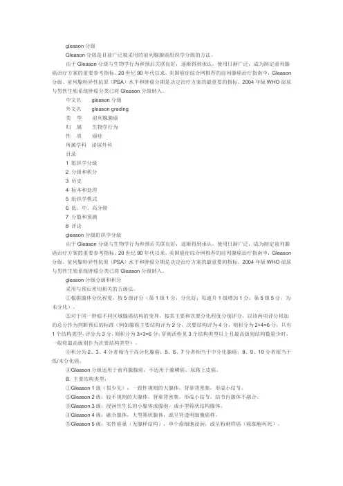 前列腺腺癌Gleason分级