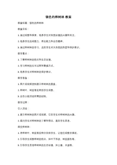 银色的桦树林 教案