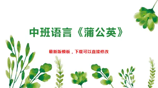 中班语言《蒲公英》 幼儿园中班语言教案PPT模板下载