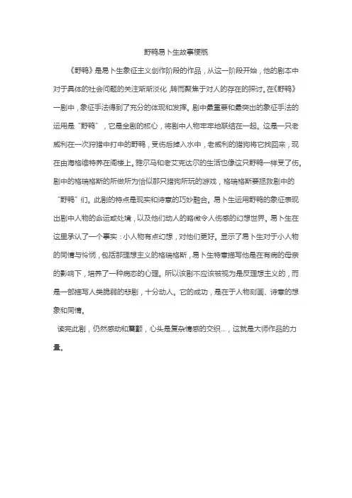 野鸭易卜生故事梗概